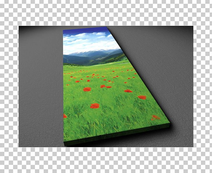 Ecosystem Meadow Rectangle PNG, Clipart, Ecosystem, Grass, Green, Meadow, Others Free PNG Download