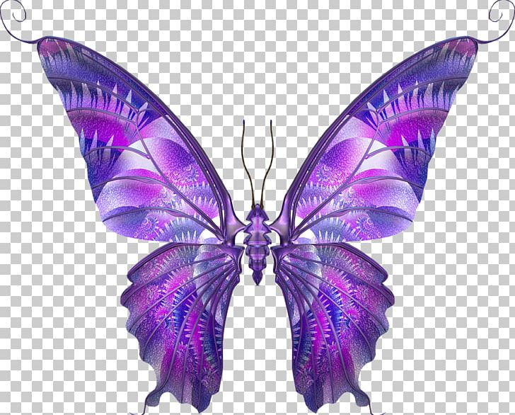 Insect Drawing Butterflies And Moths Sketch PNG, Clipart, Art, Butterflies And Moths, Butterfly, Digital Image, Drawing Free PNG Download