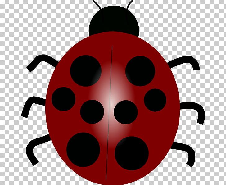Ladybird YouTube Drawing PNG, Clipart, Beetle, Computer Icons, Download, Drawing, Insect Free PNG Download