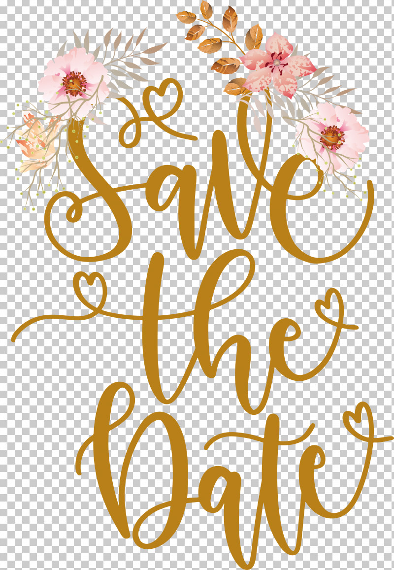 Floral Design PNG, Clipart, Cut Flowers, Floral Design, Flower, Meter, Petal Free PNG Download