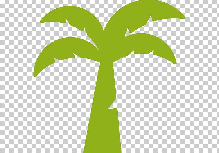 Arecaceae Palm Oil Coconut Oil PNG, Clipart, African Oil Palm, Arecaceae, Coconut, Coconut Oil, Coconut Tree Free PNG Download