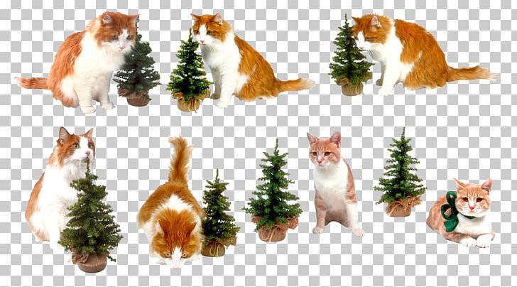Cat New Year Tree PNG, Clipart, Animals, Carnivoran, Cat Like Mammal, Christmas Decoration, Dog Breed Free PNG Download