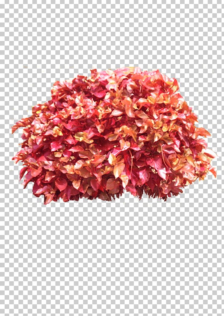 Icon PNG, Clipart, 3d Computer Graphics, Adobe Illustrator, Bouquet, Computer Network, Crushed Red Pepper Free PNG Download