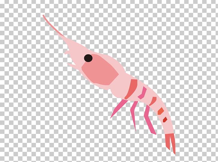 Krill Oil Dietary Supplement Omega-3 Fatty Acids Nutrient PNG, Clipart, Antarctic Krill, Astaxanthin, Cholesterol, Coenzyme Q10, Decapoda Free PNG Download