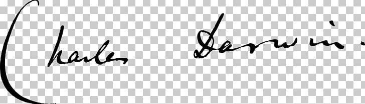 Signature Logo Handwriting Font PNG, Clipart, 1 December, Angle, Area, Art, Black Free PNG Download