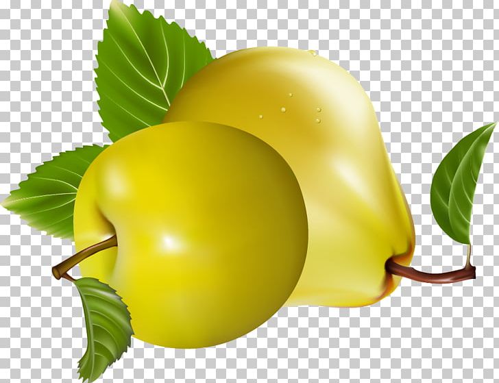 Apple Fruit Food Auglis PNG, Clipart, Apple, Armut, Asian Pear, Auglis, Blog Free PNG Download