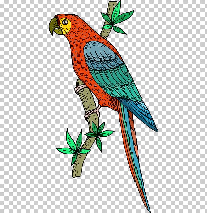 Bird Cockatoo Scarlet Macaw PNG, Clipart, Art, Beak, Bird, Blueandyellow Macaw, Branch Free PNG Download