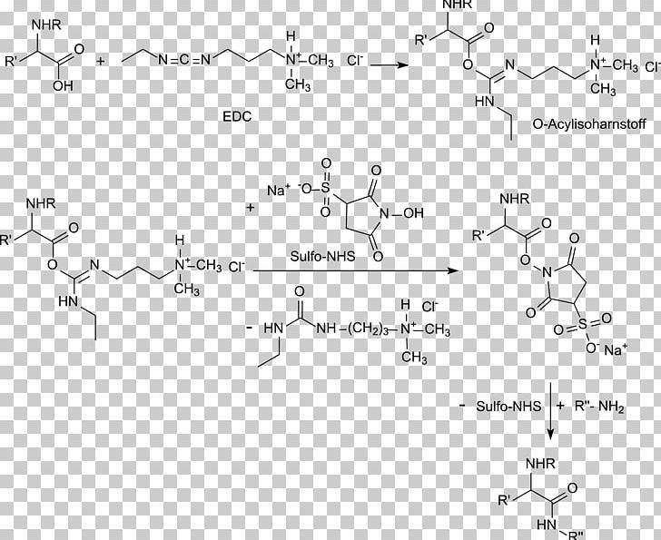 N-Hydroxysulfosuccinimide Sodium Salt N-Hydroxysuccinimide Hydroxybenzotriazole PH Carboxylic Acid PNG, Clipart, 1hydroxy7azabenzotriazole, Acid, Angle, Carboxylic Acid, Comm Free PNG Download