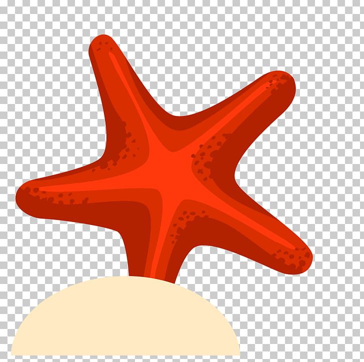 Starfish Drawing Euclidean PNG, Clipart, Animals, Cartoon, Cartoon Starfish, Designer, Download Free PNG Download