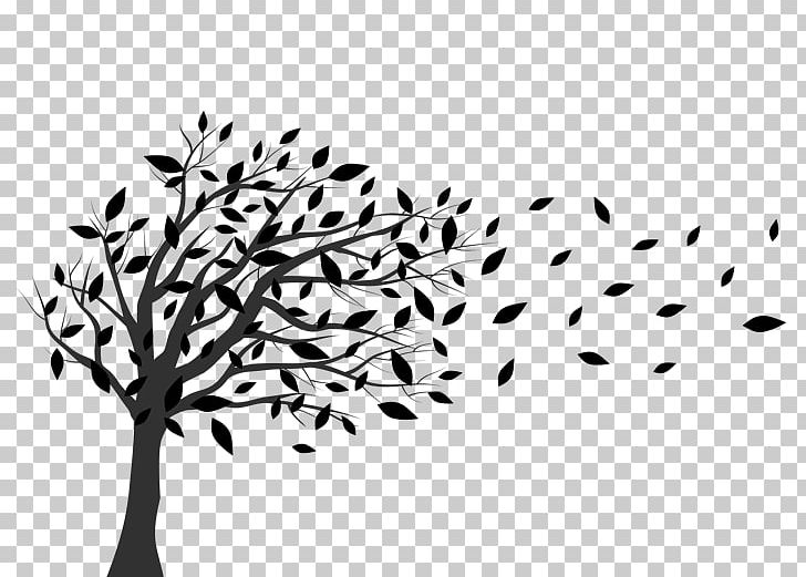 Wall Decal Tree Fototapet Wind PNG, Clipart, Black, Black And White, Branch, Commodity, Flora Free PNG Download