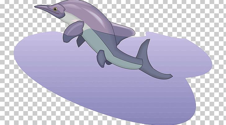 Common Bottlenose Dolphin Purple PNG, Clipart, Ancient, Aquatic, Art, Common Bottlenose Dolphin, Dolphin Free PNG Download