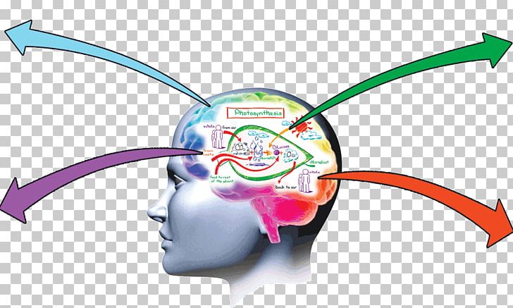 Memory Improvement Brain Memorization Learning PNG, Clipart, Amnesia, Brain, Brand, Circle, Cognitive Training Free PNG Download