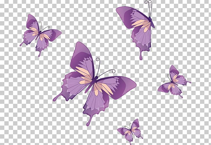 Monarch Butterfly Insect PNG, Clipart, Brush Footed Butterfly, Butterfly, Butterfly Vector, Flower, Insect Free PNG Download