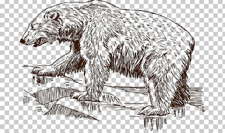 Polar Bear Grizzly Bear Koala PNG, Clipart, Animal, Art, Bear, Black And White, Brown Bear Free PNG Download