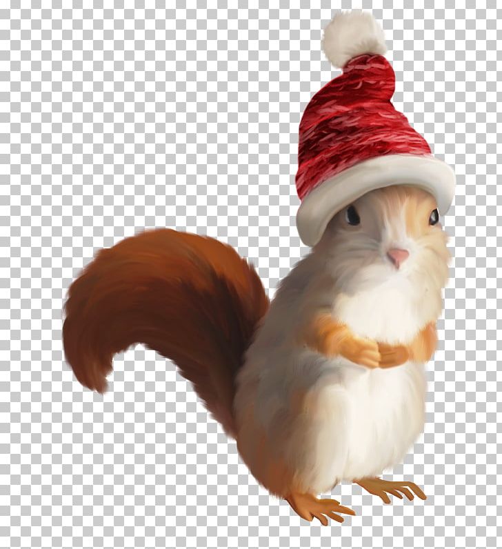 Squirrel Santa Claus Christmas PNG, Clipart, Animals, B52, Beak, Christmas, Christmas Ornament Free PNG Download