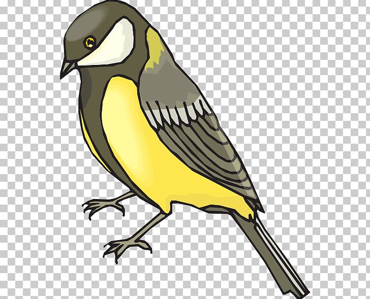 Bird European Goldfinch Penguin PNG, Clipart, American Goldfinch, American Goldfinch Cliparts, Beak, Bird, Computer Icons Free PNG Download