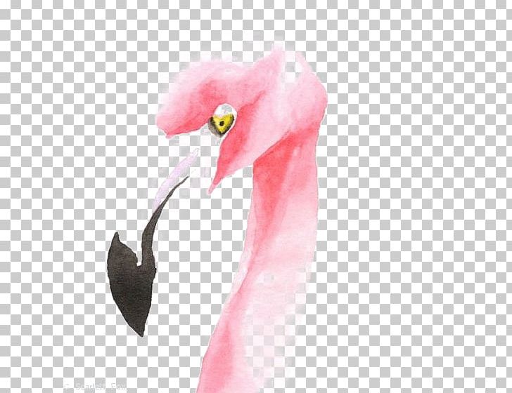 Flamingo Drawing Watercolor Painting Illustration PNG, Clipart, Animals, Avatar, Beak, Bird, Birds Free PNG Download