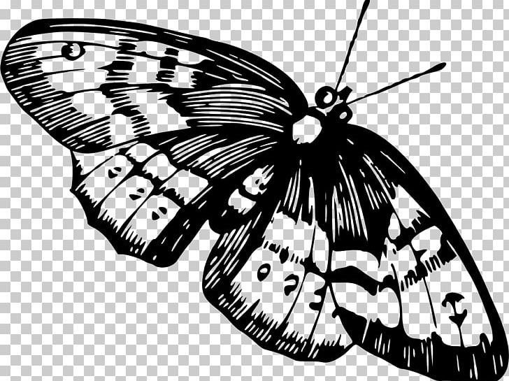 Monarch Butterfly Insect Pieridae Moth PNG, Clipart, Animal, Arthropod, Black And White, Brush Footed Butterfly, Butterflies And Moths Free PNG Download