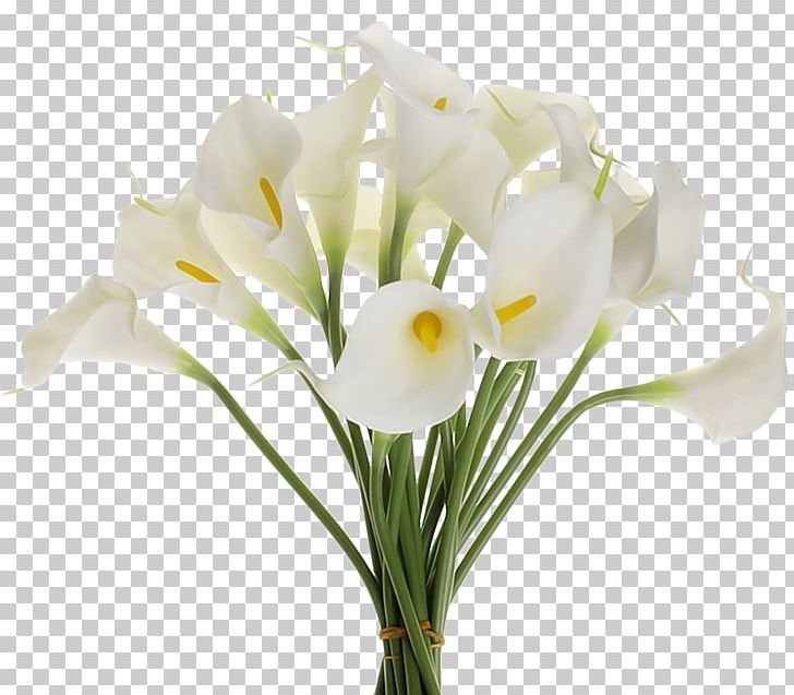 Artificial Flower Flower Bouquet Arum-lily Wedding PNG, Clipart, Artificial Flower, Arumlily, Babysbreath, Bride, Calas Free PNG Download