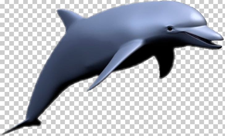 Dolphin Meme Vaporwave Seapunk PNG, Clipart, Animals, Blue Fish, Desktop Wallpaper, Fauna, Mammal Free PNG Download
