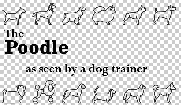Poodle Horse Pet Cat Animal PNG, Clipart, Angle, Animal Welfare, Area, Black And White, Carni Free PNG Download