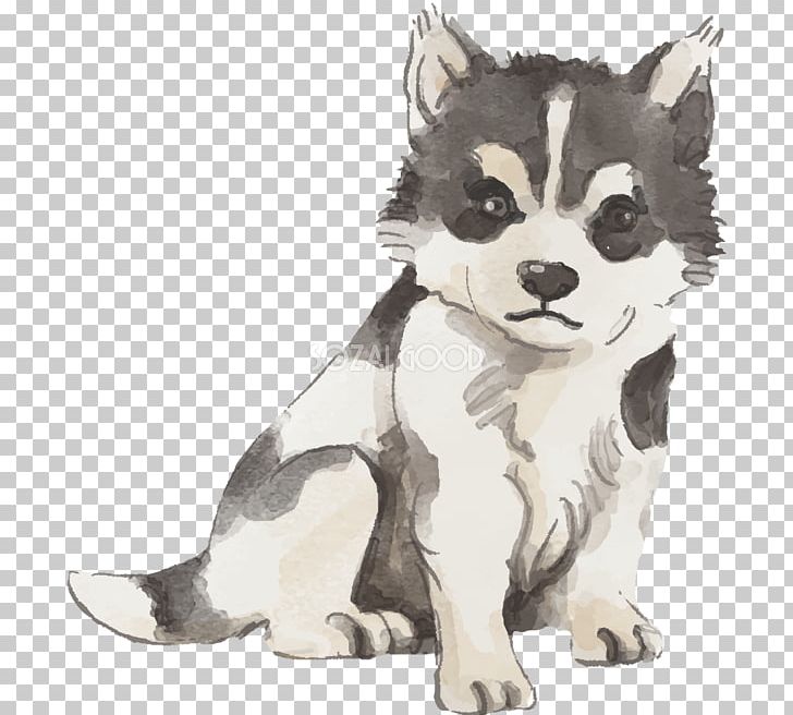 Sakhalin Husky Siberian Husky Alaskan Malamute Alaskan Klee Kai Puppy PNG, Clipart, Alaskan Klee Kai, Alaskan Malamute, Animal, Animals, Breed Group Dog Free PNG Download