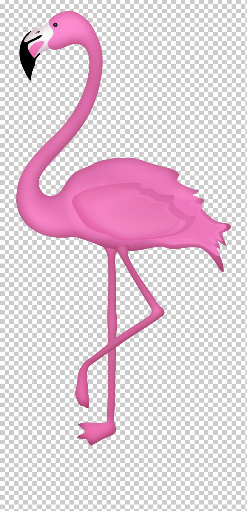 Flamingo PNG, Clipart, Beak, Bird, Flamingo, Furniture, Greater Flamingo Free PNG Download