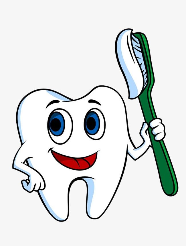 Teeth Holding A Toothbrush PNG, Clipart, Brush, Brush Teeth, Cartoon, Cleaning, Dental Free PNG Download