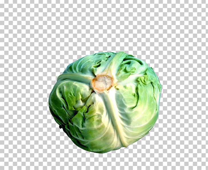 Cabbage Cauliflower Broccoli Brussels Sprout Vegetable PNG, Clipart, Cabbage, Cauliflower, Explosion Effect Material, Food, Leaf Vegetable Free PNG Download