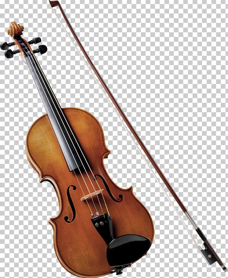 string orchestra instruments