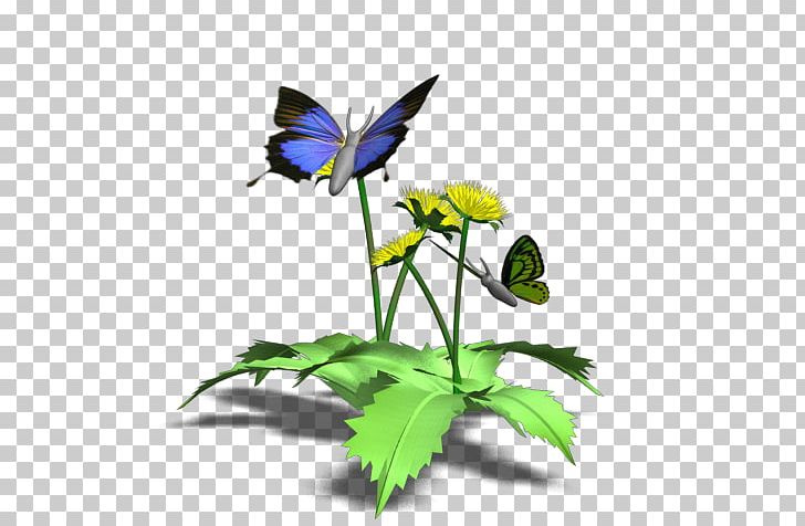 Blog Flower Animaatio PNG, Clipart, Animaatio, Arthropod, Blog, Brush Footed Butterfly, Butterfly Free PNG Download