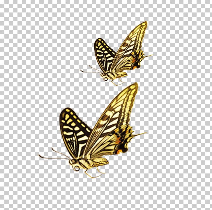 Butterfly Green Yellow Computer File PNG, Clipart, Blue Butterfly, Butterflies, Butterflies And Moths, Butterfly Group, Butterfly Vector Free PNG Download