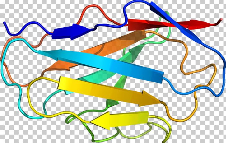 Line Point PNG, Clipart, Acyl Carrier Protein, Area, Art, Line, Point Free PNG Download