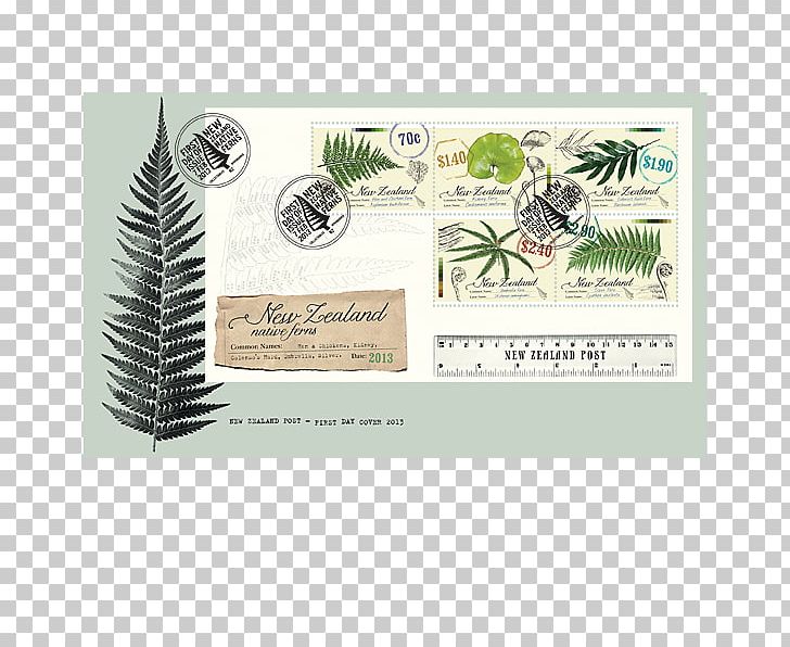 Paper Tree Rectangle Font PNG, Clipart, Nature, Organism, Paper, Rectangle, Silver Fern Free PNG Download