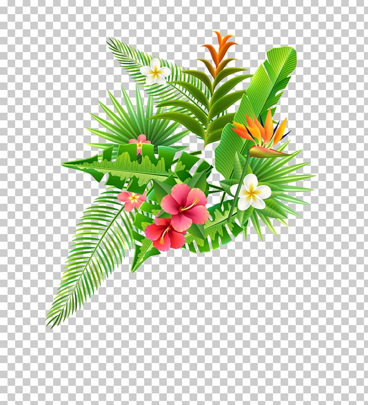 Strelitzia Reginae Parrot Flower Illustration PNG, Clipart, Background Green, Bird, Botany, Decorative, Flower Free PNG Download