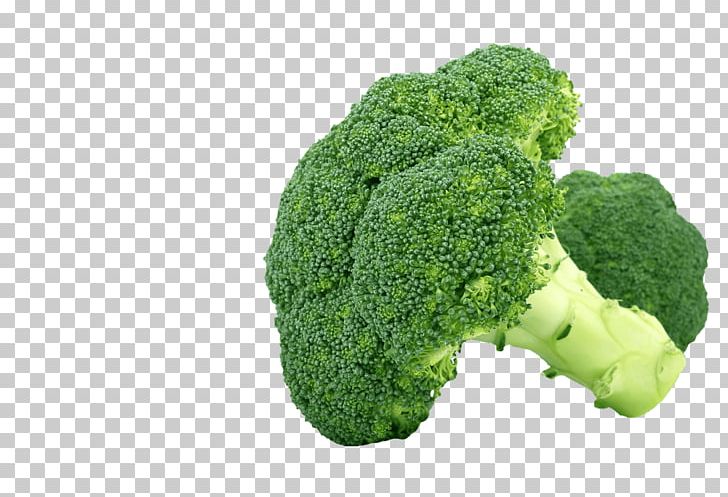 Broccoli Vegetable Steaming Fruit PNG, Clipart, Broccoli, Broccoli Sprouts, Cabbage, Cabbage Family, Cauliflower Free PNG Download
