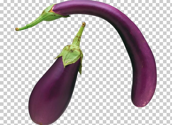 Eggplant Vegetable Fruit PNG, Clipart, Bell Peppers And Chili Peppers, Chili Pepper, Computer Icons, Cucumber, Eggplant Free PNG Download