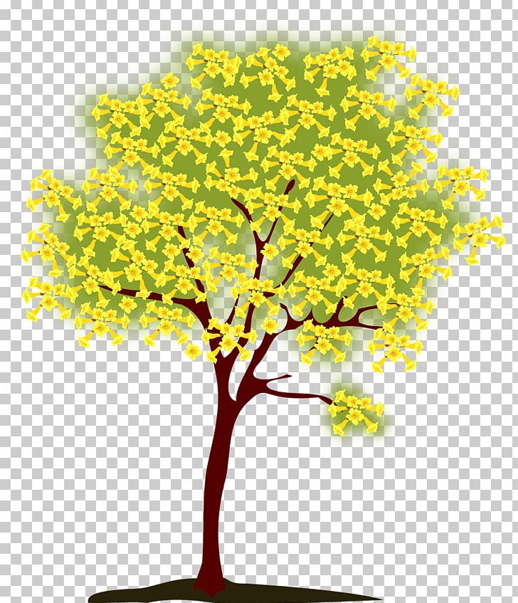 Handroanthus Chrysotrichus Tree PNG, Clipart, Branch, Christmas Tree, Download, Encapsulated Postscript, Family Tree Free PNG Download