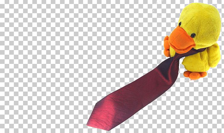 Little Yellow Duck Project Mallard Euclidean Angel Wing PNG, Clipart, Animals, Beak, Bow Tie, Business, Costume Free PNG Download