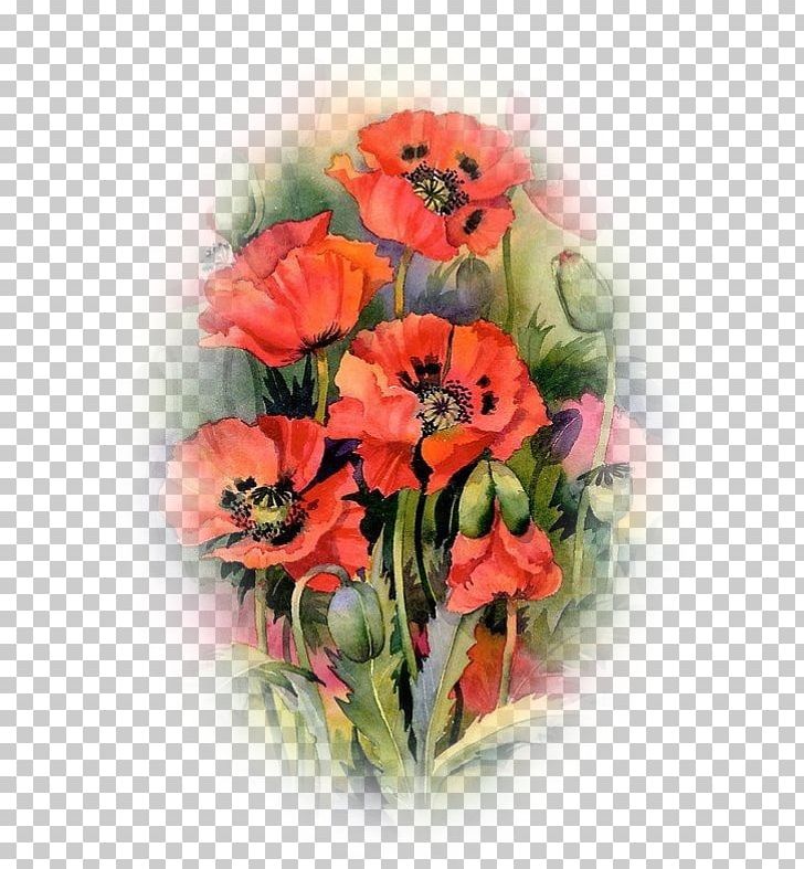 Oriental Poppies Watercolor Painting Common Poppy PNG, Clipart, Annual Plant, Artificial Flower, Chinese Painting, Color, Common Poppy Free PNG Download