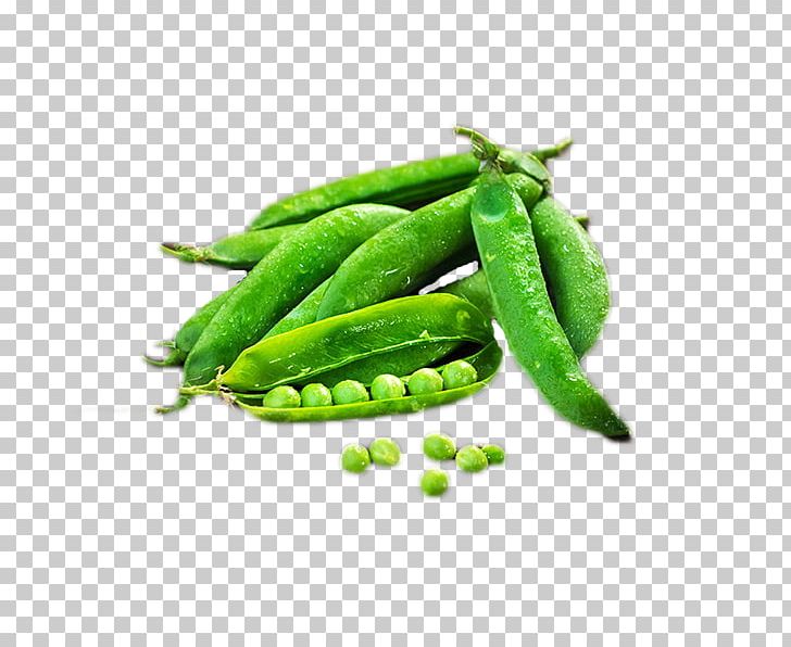 Snap Pea Edamame Vegetarian Cuisine Vegetable PNG, Clipart, Bean, Beans, Buckle, Creat, Creative Free PNG Download