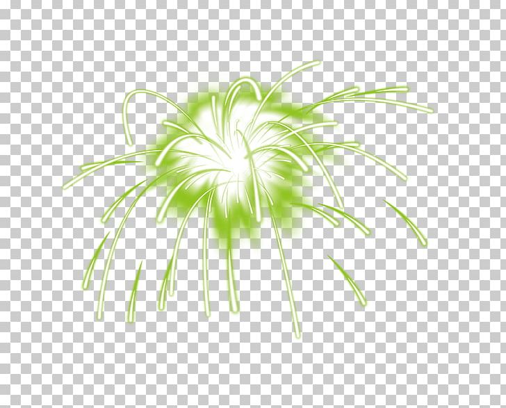 Adobe Fireworks PNG, Clipart, Adobe Illustrator, Cartoon Fireworks, Circle, Encapsulated Postscript, Firework Free PNG Download