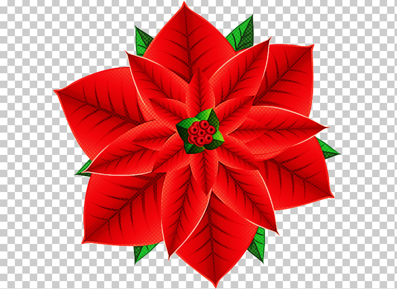 Christmas Decoration PNG, Clipart, Art Paper, Christmas Decoration, Flower, Holly, Leaf Free PNG Download