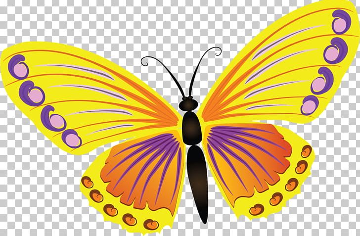 Butterfly Light Color PNG, Clipart, Art, Arthropod, Brush Footed Butterfly, Butterfly, Color Free PNG Download