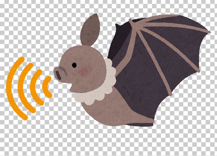 Bat Super Nintendo Entertainment System Animal Echolocation Acoustic Wave Ultrasound PNG, Clipart,  Free PNG Download