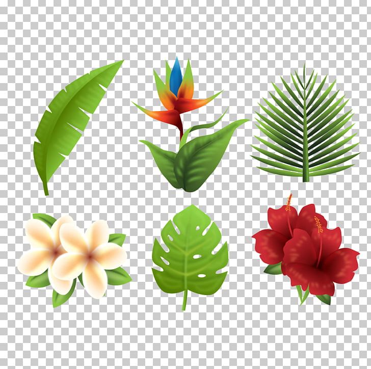 Flower PNG, Clipart, Adobe Illustrator, Computer Graphics, Download, Elements, Encapsulated Postscript Free PNG Download