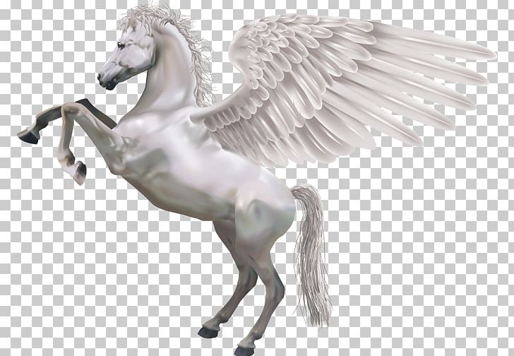 Pegasus PNG, Clipart, Pegasus Free PNG Download
