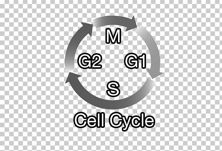 Cell Cycle Cyclin-dependent Kinase 4 CDK Inhibitor G1 Phase PNG, Clipart, Abemaciclib, Area, Breast Cancer, Cancer, Cdk Inhibitor Free PNG Download