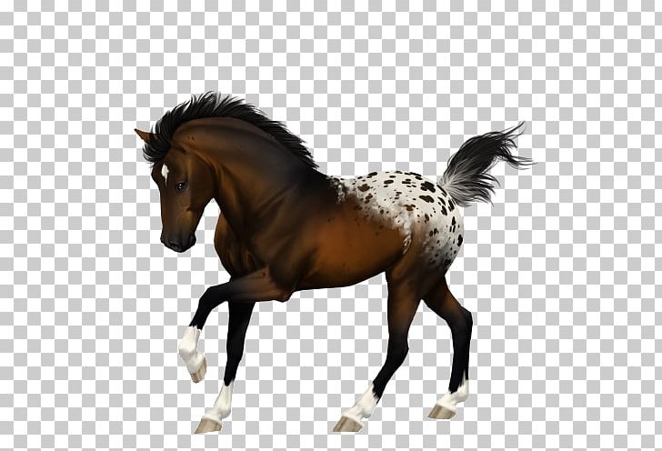 Foal Mustang Stallion Colt Mare PNG, Clipart, Bridle, Colt, Foal, Halter, Horse Free PNG Download