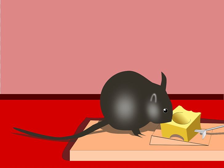 Mousetrap Rodent Rat Bait PNG, Clipart, Animals, Bait, Carnivoran, Cartoon, Cat Free PNG Download